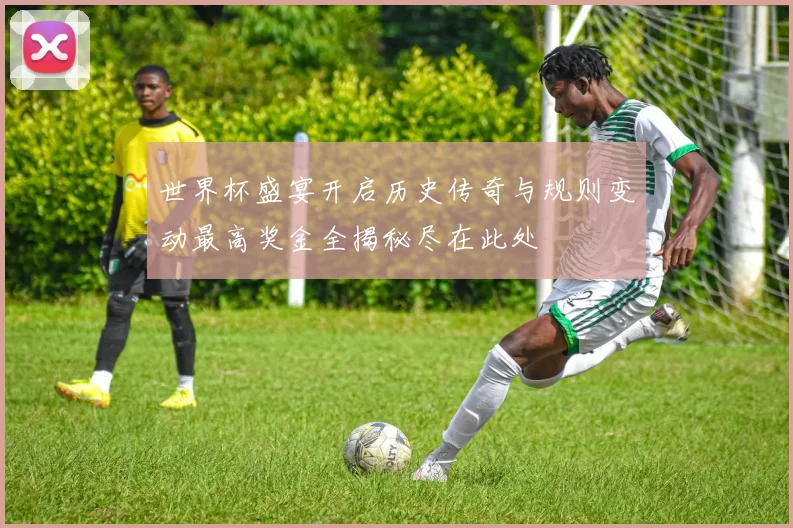 世界杯盛宴开启历史传奇与规则变动最高奖金全揭秘尽在此处